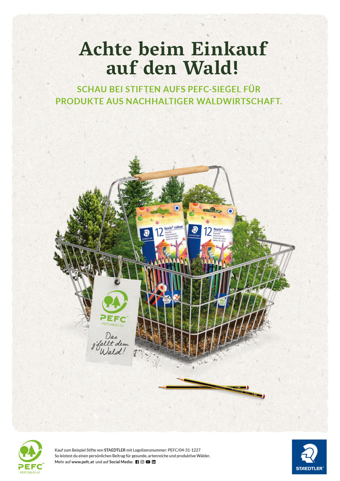 PEFC campaign visual with Staedtler product